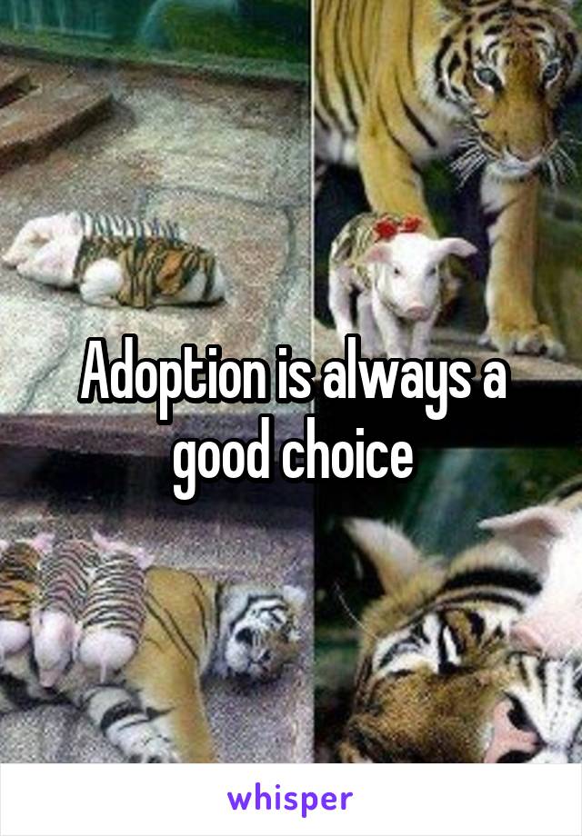 Adoption is always a good choice