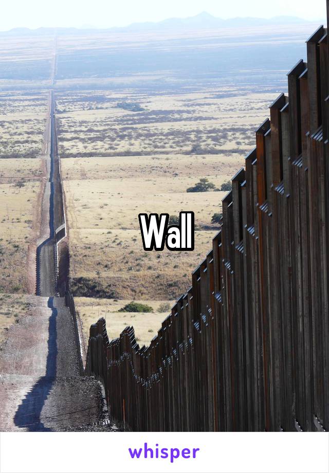 Wall