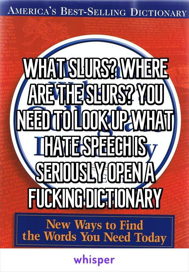 WHAT SLURS? WHERE ARE THE SLURS? YOU NEED TO LOOK UP WHAT HATE SPEECH IS SERIOUSLY OPEN A FUCKING DICTIONARY