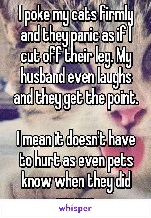 I poke my cats firmly and they panic as if I cut off their leg. My husband even laughs and they get the point.

I mean it doesn't have to hurt as even pets know when they did wrong.