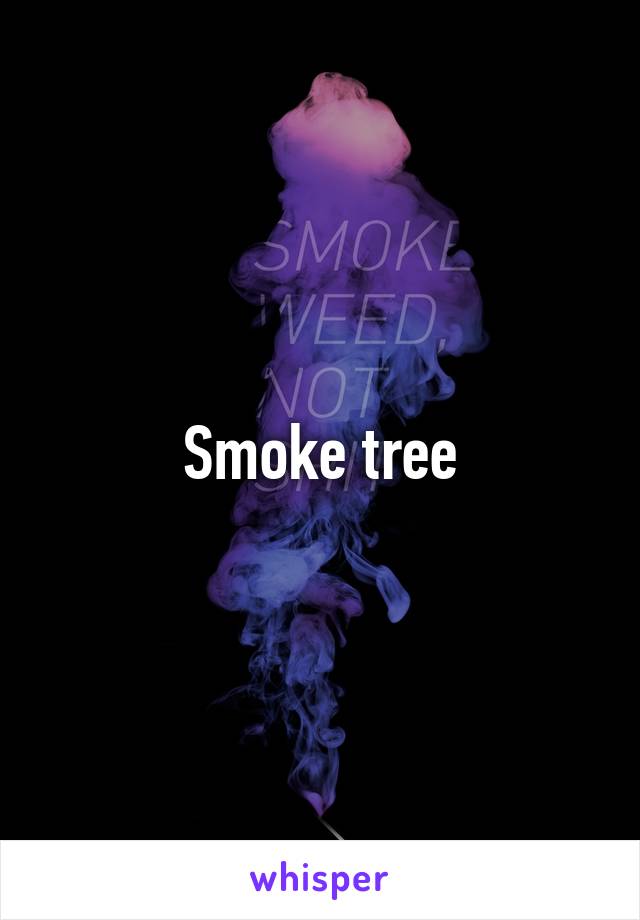 Smoke tree