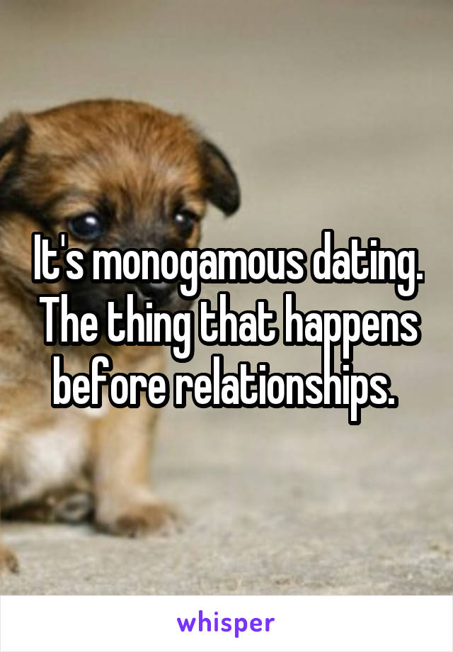 It's monogamous dating. The thing that happens before relationships. 