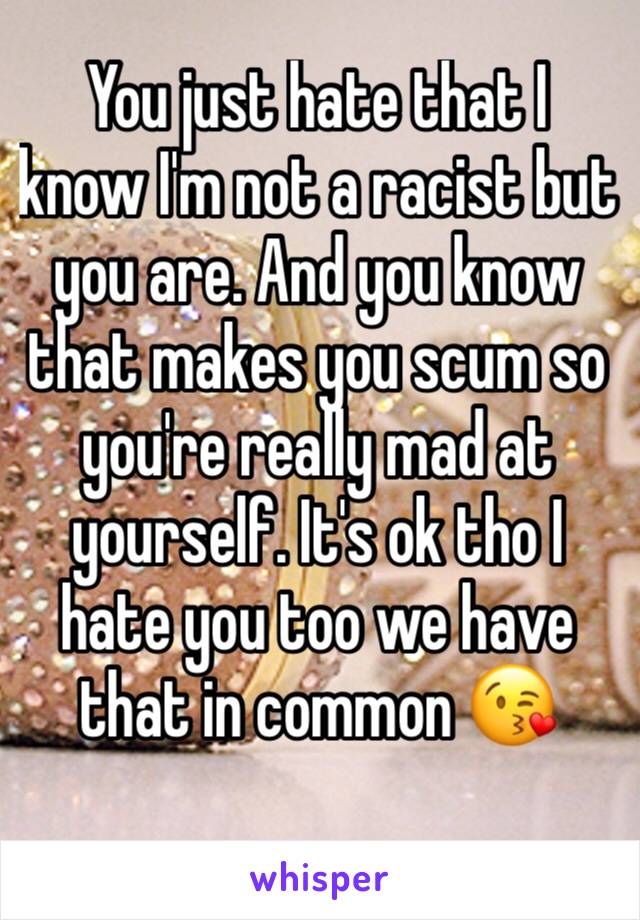 You just hate that I know I'm not a racist but you are. And you know that makes you scum so you're really mad at yourself. It's ok tho I hate you too we have that in common 😘