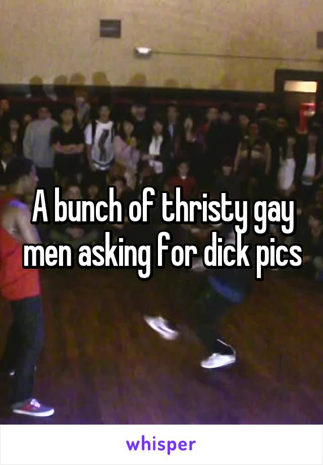 A bunch of thristy gay men asking for dick pics