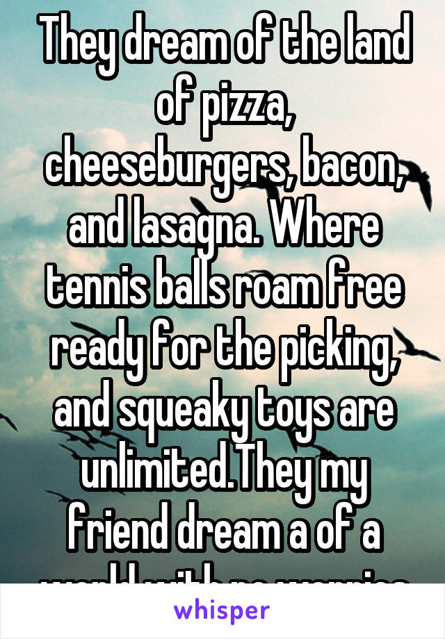 They dream of the land of pizza, cheeseburgers, bacon, and lasagna. Where tennis balls roam free ready for the picking, and squeaky toys are unlimited.They my friend dream a of a world with no worries