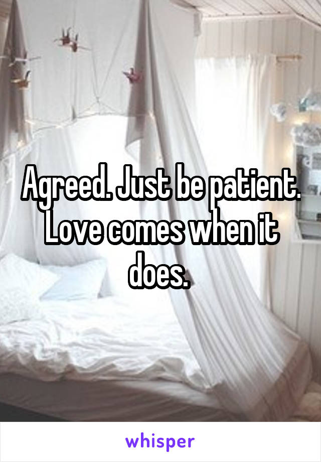 Agreed. Just be patient. Love comes when it does. 