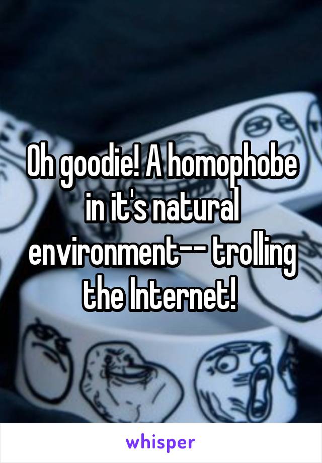 Oh goodie! A homophobe in it's natural environment-- trolling the Internet! 