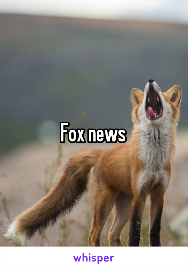 Fox news 