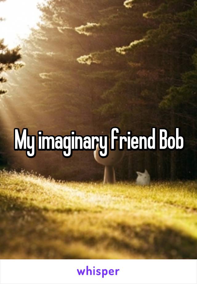 My imaginary friend Bob