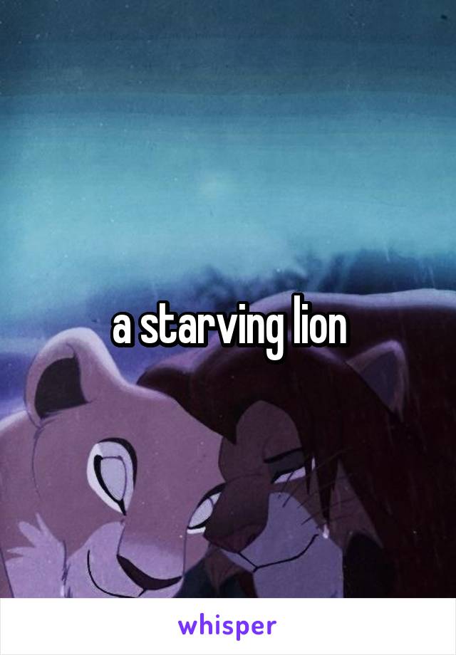 a starving lion