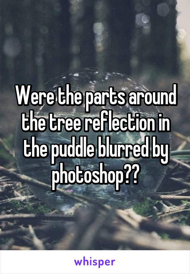 Were the parts around the tree reflection in the puddle blurred by photoshop??