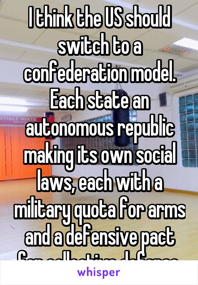 I think the US should switch to a confederation model. Each state an autonomous republic making its own social laws, each with a military quota for arms and a defensive pact for collective defense.