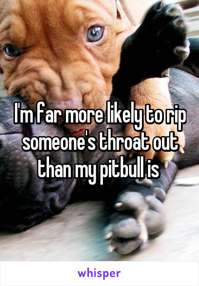 I'm far more likely to rip someone's throat out than my pitbull is 