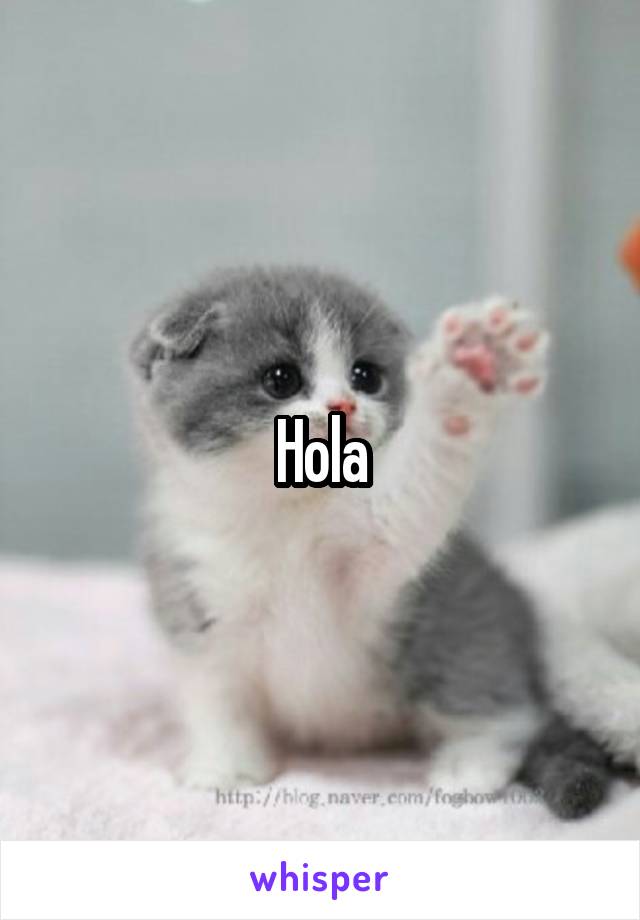 Hola