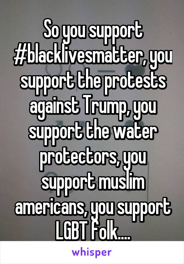 So you support #blacklivesmatter, you support the protests against Trump, you support the water protectors, you support muslim americans, you support LGBT folk....