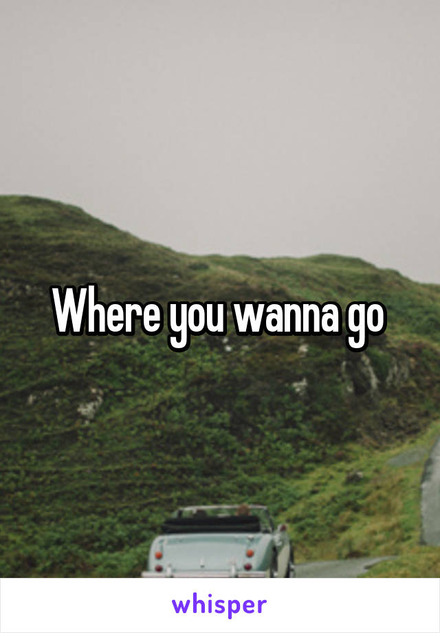 Where you wanna go 