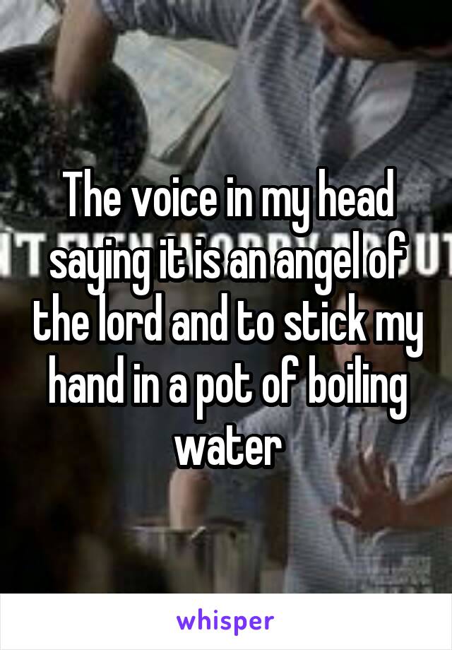 The voice in my head saying it is an angel of the lord and to stick my hand in a pot of boiling water