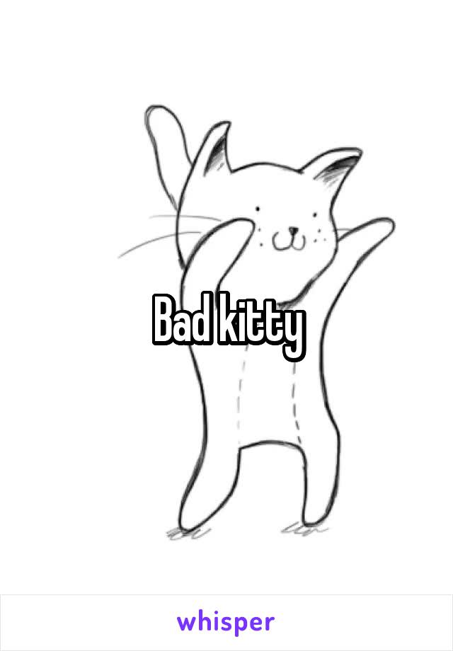 Bad kitty