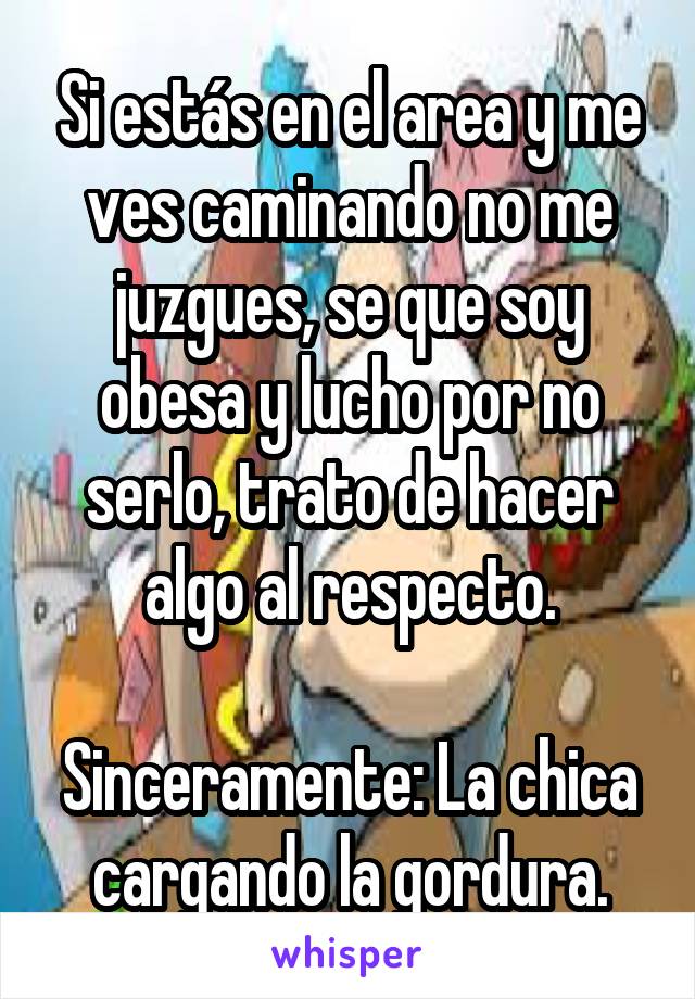 Si estás en el area y me ves caminando no me juzgues, se que soy obesa y lucho por no serlo, trato de hacer algo al respecto.

Sinceramente: La chica cargando la gordura.