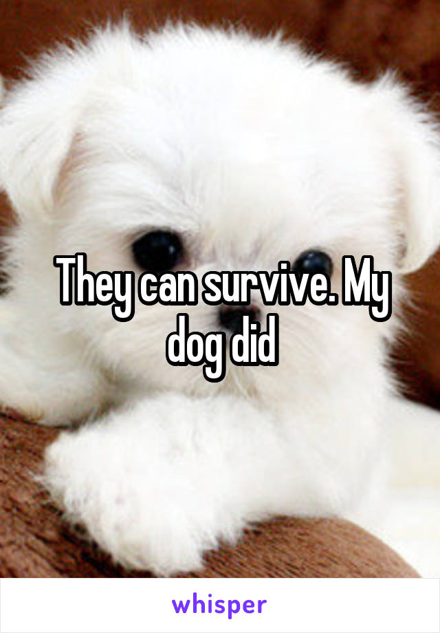 They can survive. My dog did