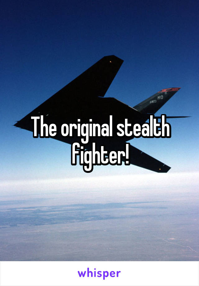The original stealth fighter!