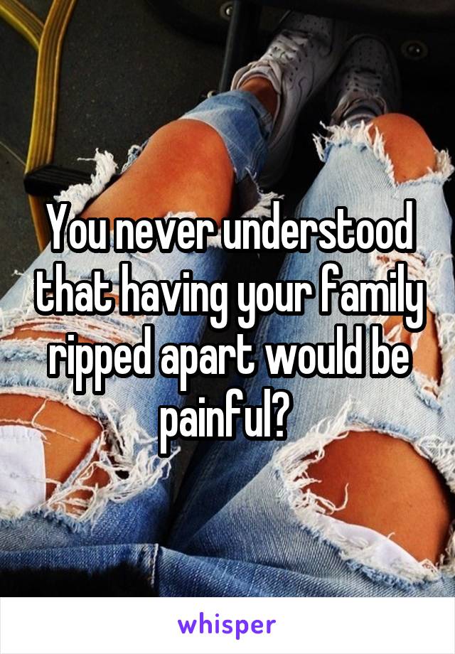You never understood that having your family ripped apart would be painful? 