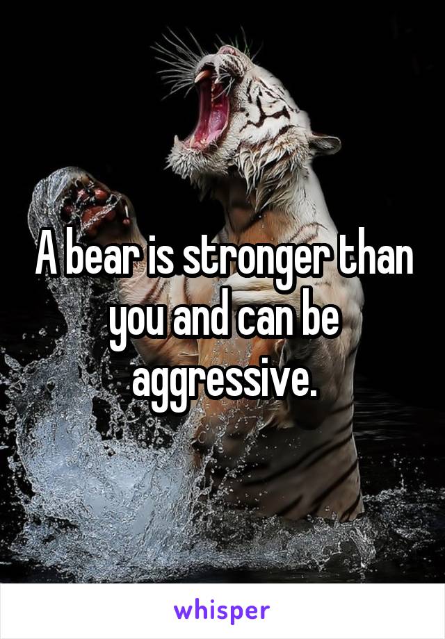 A bear is stronger than you and can be aggressive.