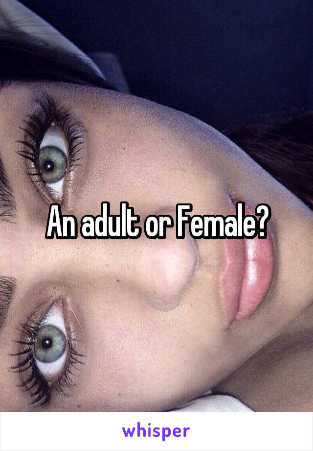 An adult or Female?