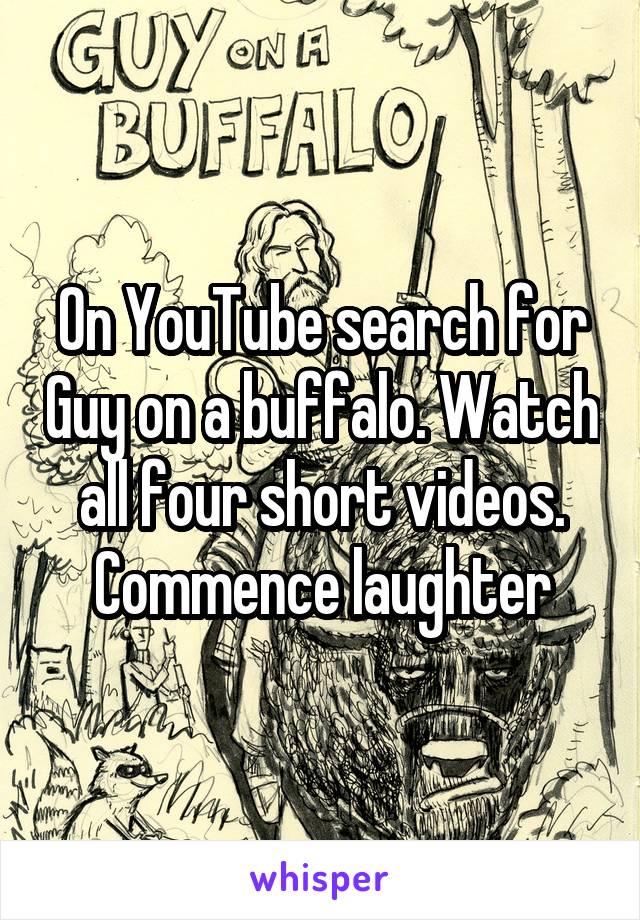 On YouTube search for Guy on a buffalo. Watch all four short videos. Commence laughter