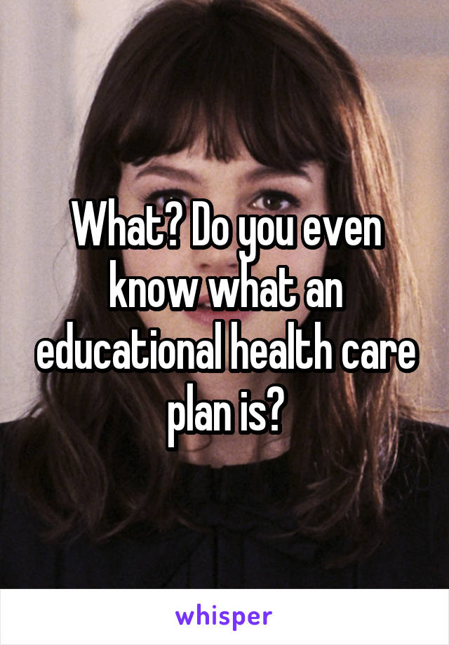 What? Do you even know what an educational health care plan is?