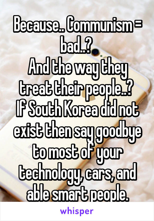 Because.. Communism = bad..? 
And the way they treat their people..? 
If South Korea did not exist then say goodbye to most of your technology, cars, and able smart people.