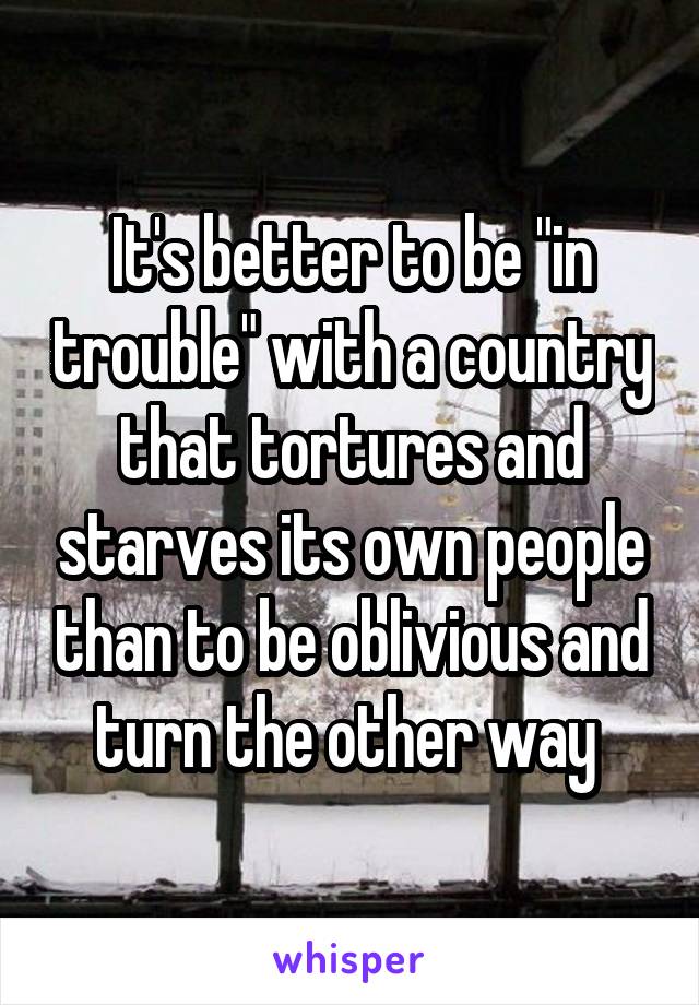 It's better to be "in trouble" with a country that tortures and starves its own people than to be oblivious and turn the other way 