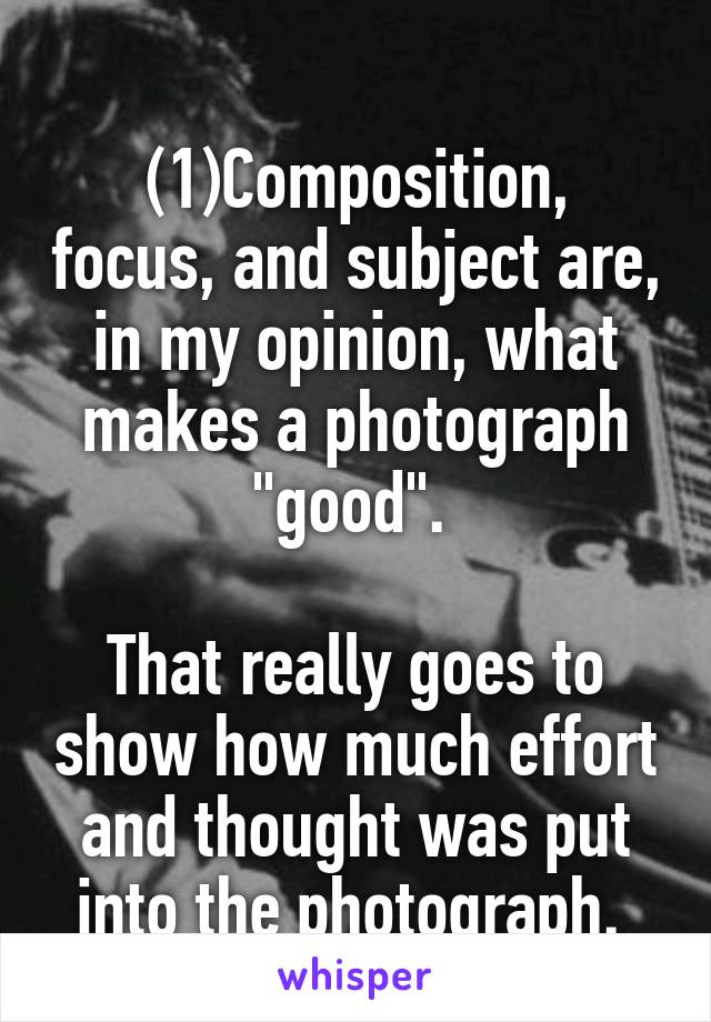 
(1)Composition, focus, and subject are, in my opinion, what makes a photograph "good". 

That really goes to show how much effort and thought was put into the photograph. 