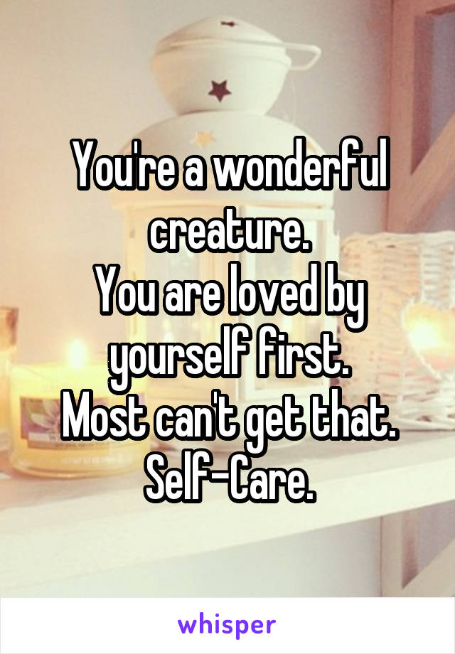 You're a wonderful creature.
You are loved by yourself first.
Most can't get that.
Self-Care.