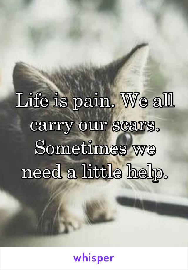 Life is pain. We all carry our scars. Sometimes we need a little help.
