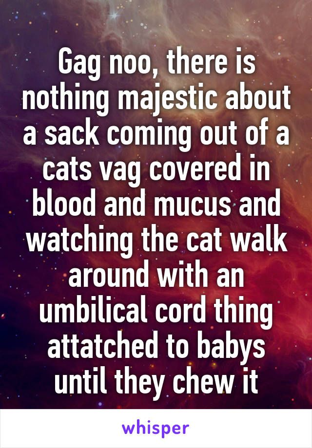 Gag noo, there is nothing majestic about a sack coming out of a cats vag covered in blood and mucus and watching the cat walk around with an umbilical cord thing attatched to babys until they chew it