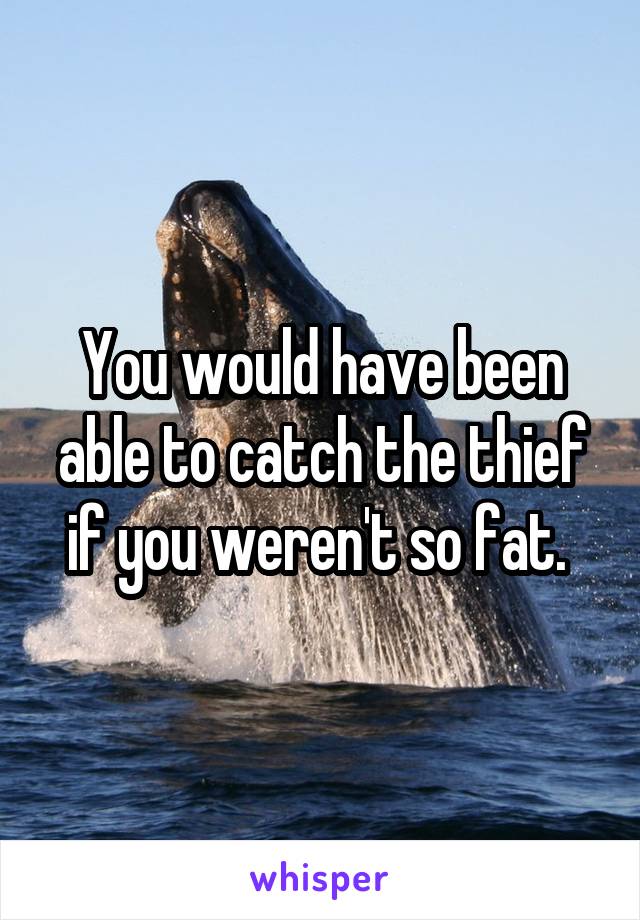You would have been able to catch the thief if you weren't so fat. 