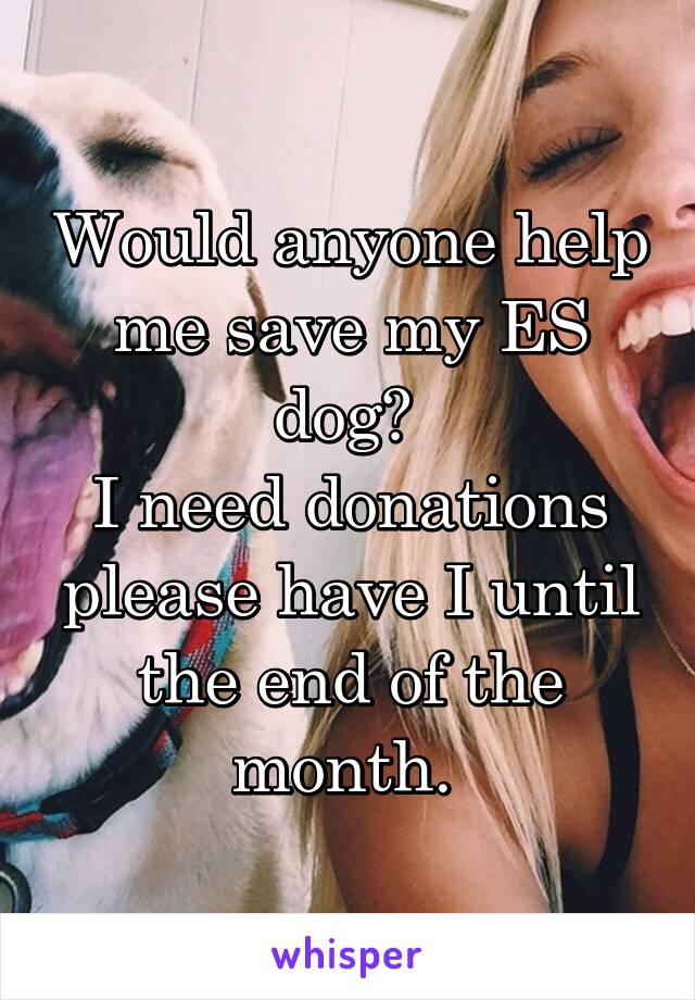 Would anyone help me save my ES dog? 
I need donations please have I until the end of the month. 