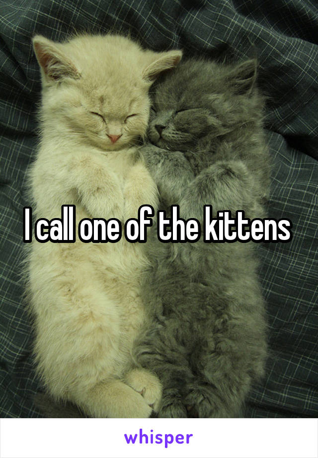 I call one of the kittens 