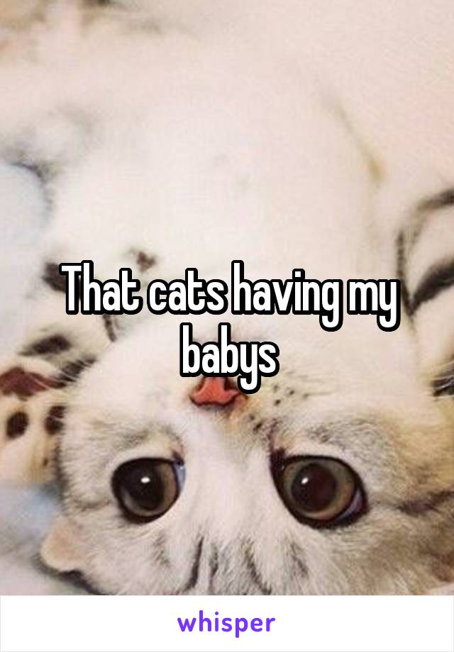 That cats having my babys