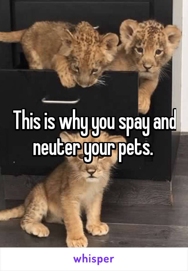 This is why you spay and neuter your pets. 