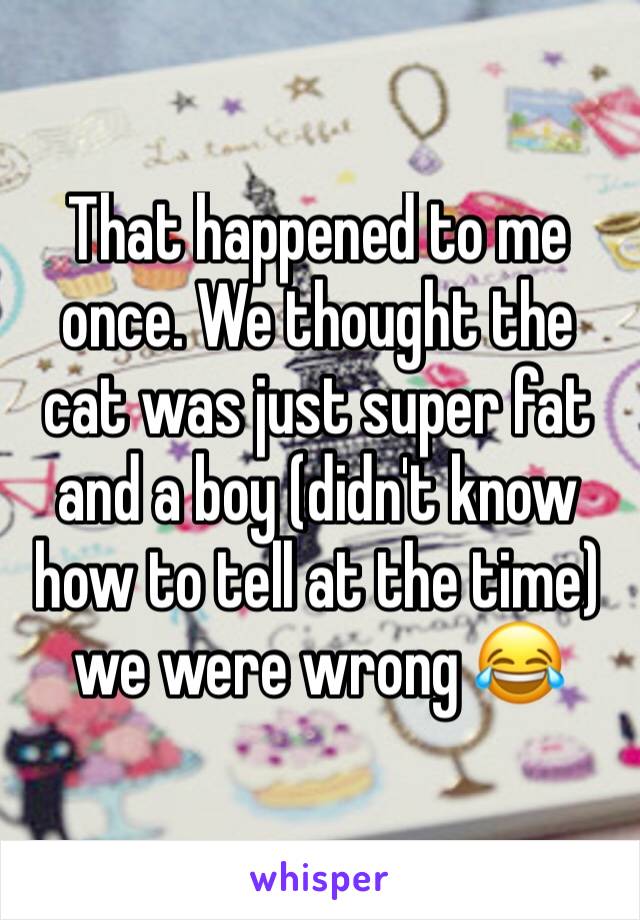 That happened to me once. We thought the cat was just super fat and a boy (didn't know how to tell at the time) we were wrong 😂