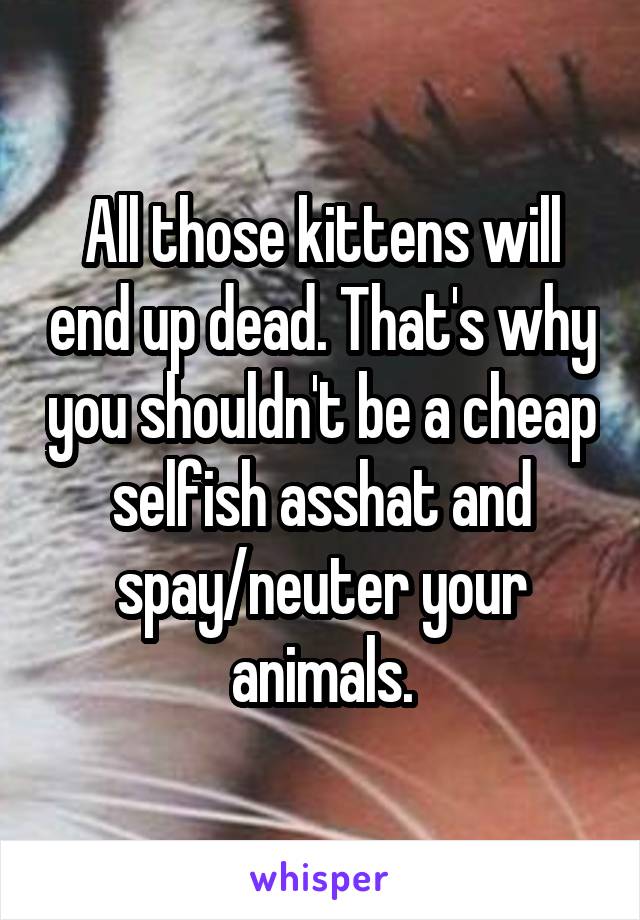 All those kittens will end up dead. That's why you shouldn't be a cheap selfish asshat and spay/neuter your animals.