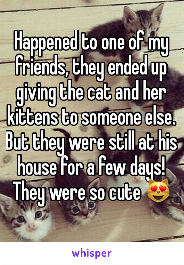 Happened to one of my friends, they ended up giving the cat and her kittens to someone else. But they were still at his house for a few days! They were so cute 😻