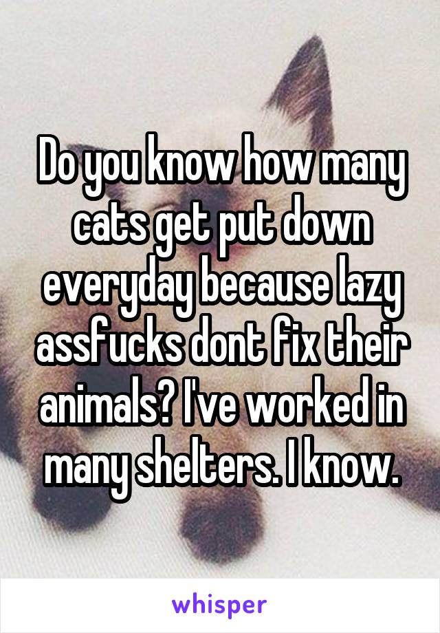 Do you know how many cats get put down everyday because lazy assfucks dont fix their animals? I've worked in many shelters. I know.