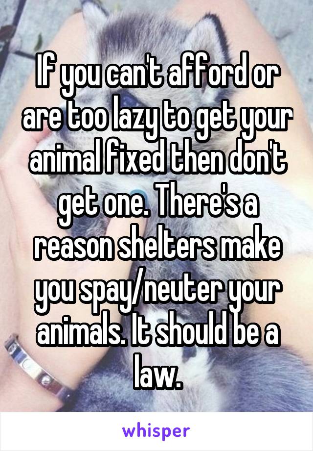 If you can't afford or are too lazy to get your animal fixed then don't get one. There's a reason shelters make you spay/neuter your animals. It should be a law.