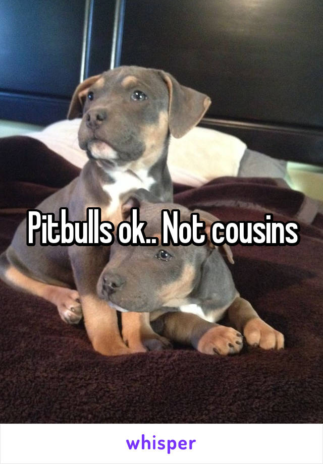 Pitbulls ok.. Not cousins