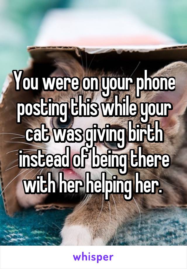 You were on your phone posting this while your cat was giving birth instead of being there with her helping her. 