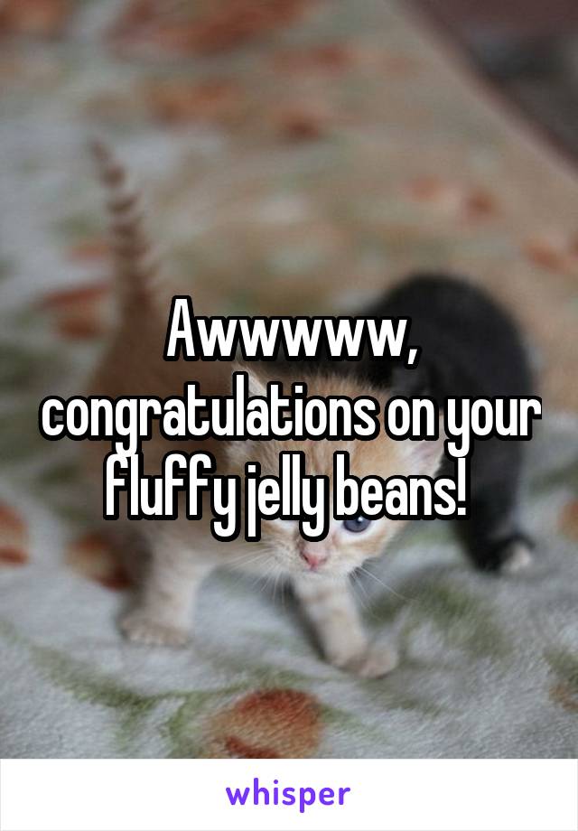 Awwwww, congratulations on your fluffy jelly beans! 