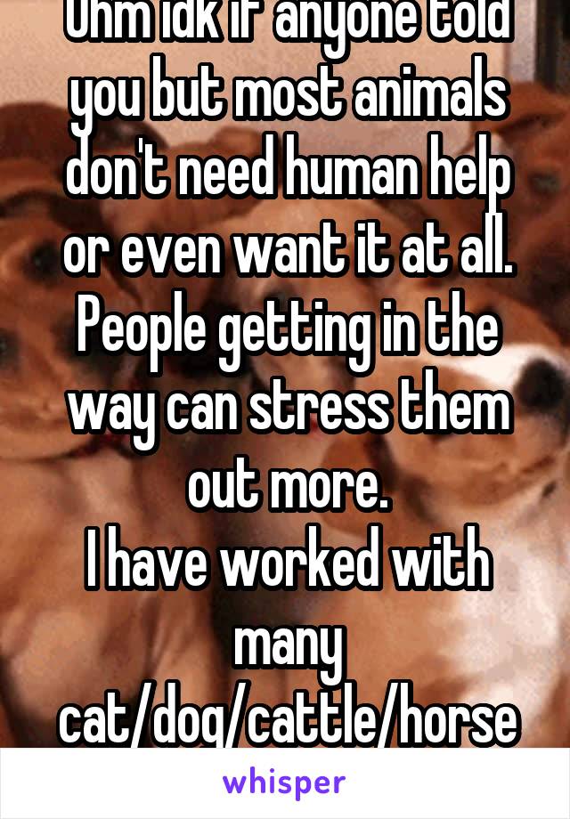 Uhm idk if anyone told you but most animals don't need human help or even want it at all. People getting in the way can stress them out more.
I have worked with many cat/dog/cattle/horse births. 